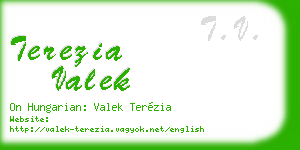terezia valek business card